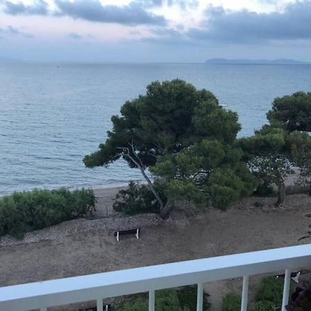 Les Pieds Dans L Eau, Vue Sur Les Iles D'Or Apartamento Hyères Exterior foto